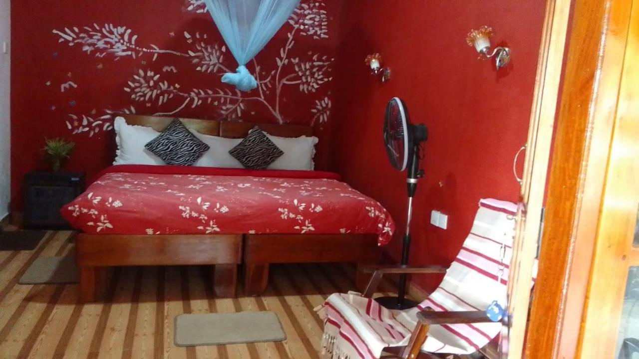 Secret Nest Homestay Елла Екстер'єр фото