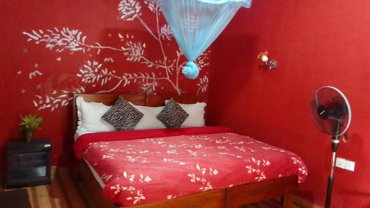 Secret Nest Homestay Елла Екстер'єр фото