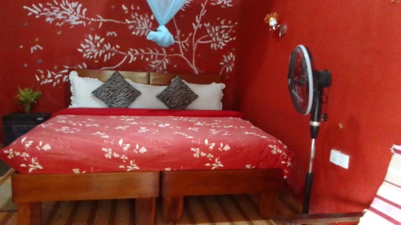 Secret Nest Homestay Елла Екстер'єр фото